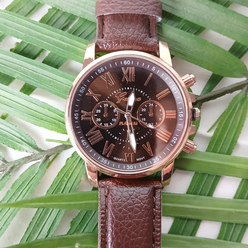 New Brown Geneva Platinum Watch